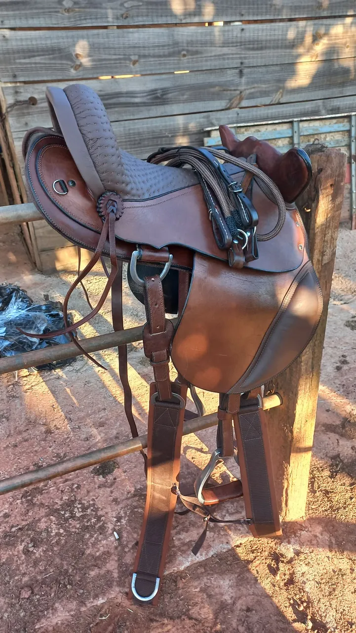Sela de Cavalo, Cabeça, Profissional