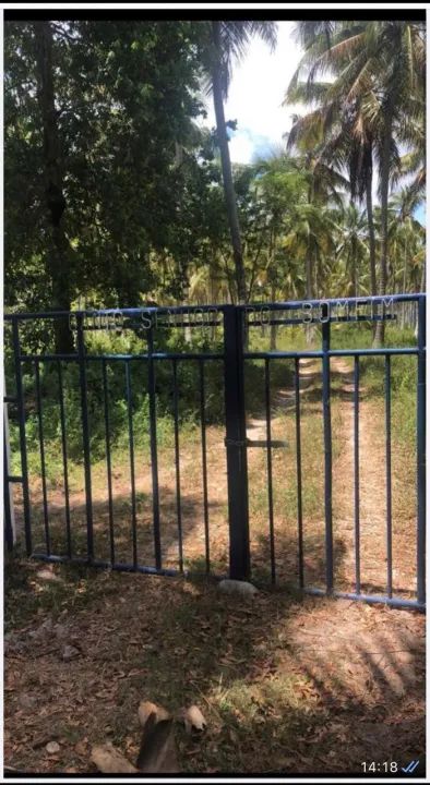 Grande Área à beira da lagoa para aluguel e venda tem 70000m2 em Massagueira - Marechal De - Foto 5