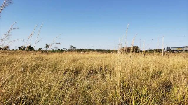 Chácara 4 hectares brazlandia Beira do asfalto 35km taguatinga plana - Foto 5
