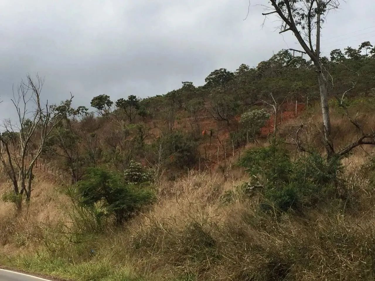 Chácara localizada no município de Barra Longa - Foto 3