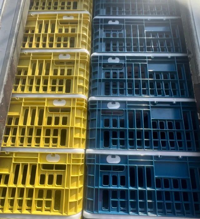 170 Gaiolas Para Transporte De Frango Vivo - Novas - Foto 4