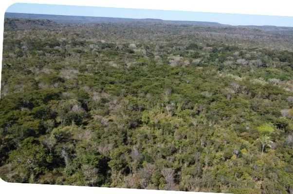 PROPRIEDADE