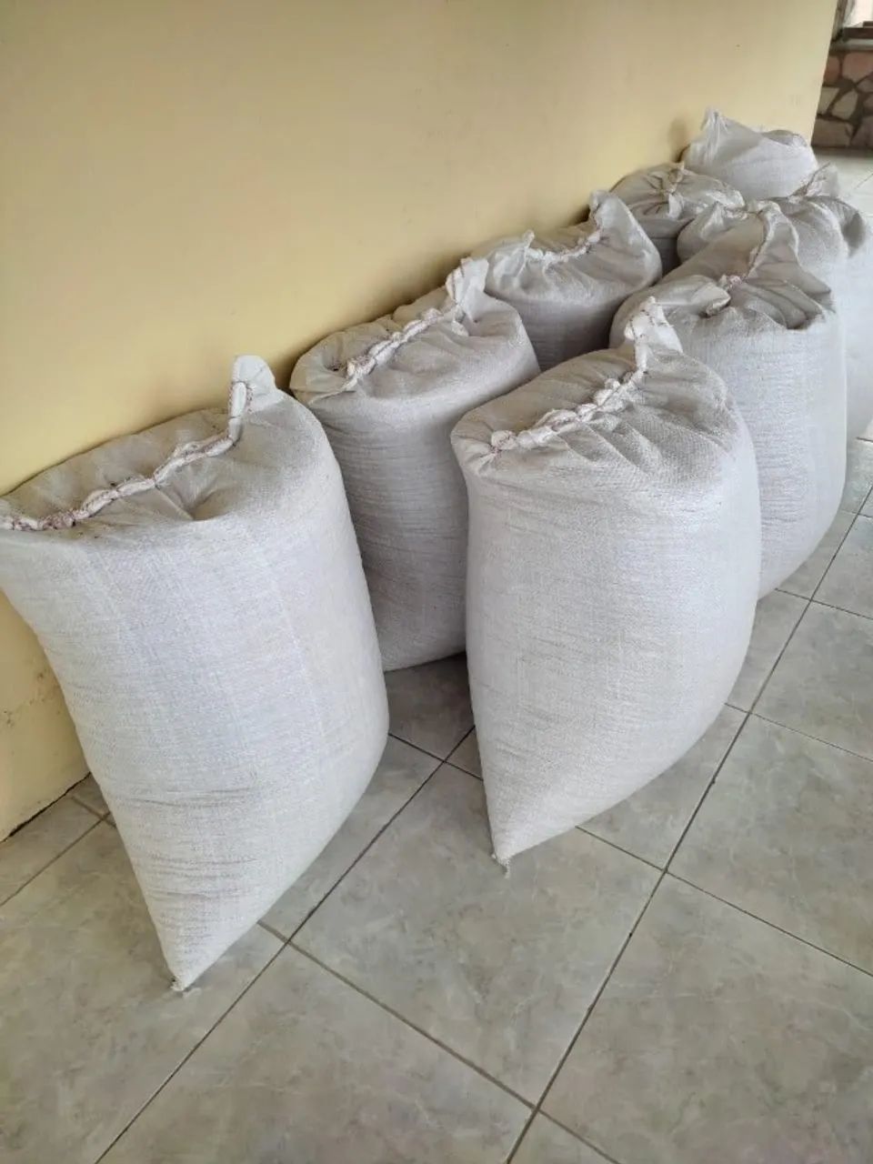 Debulhadeira de Milho Elétrica Trapp - Monofásico 127v/220v - Foto 2