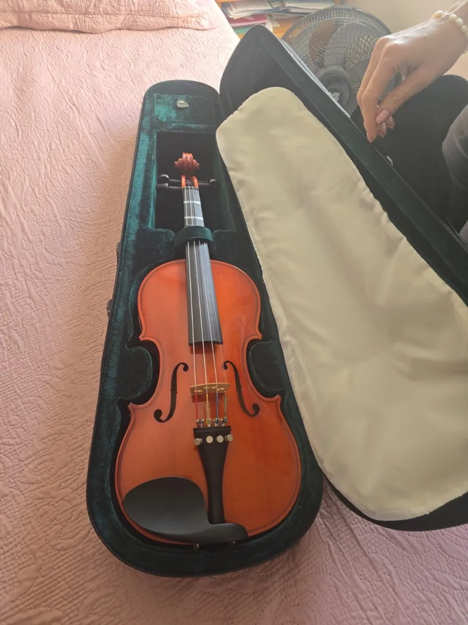 Violino profissional com estojo