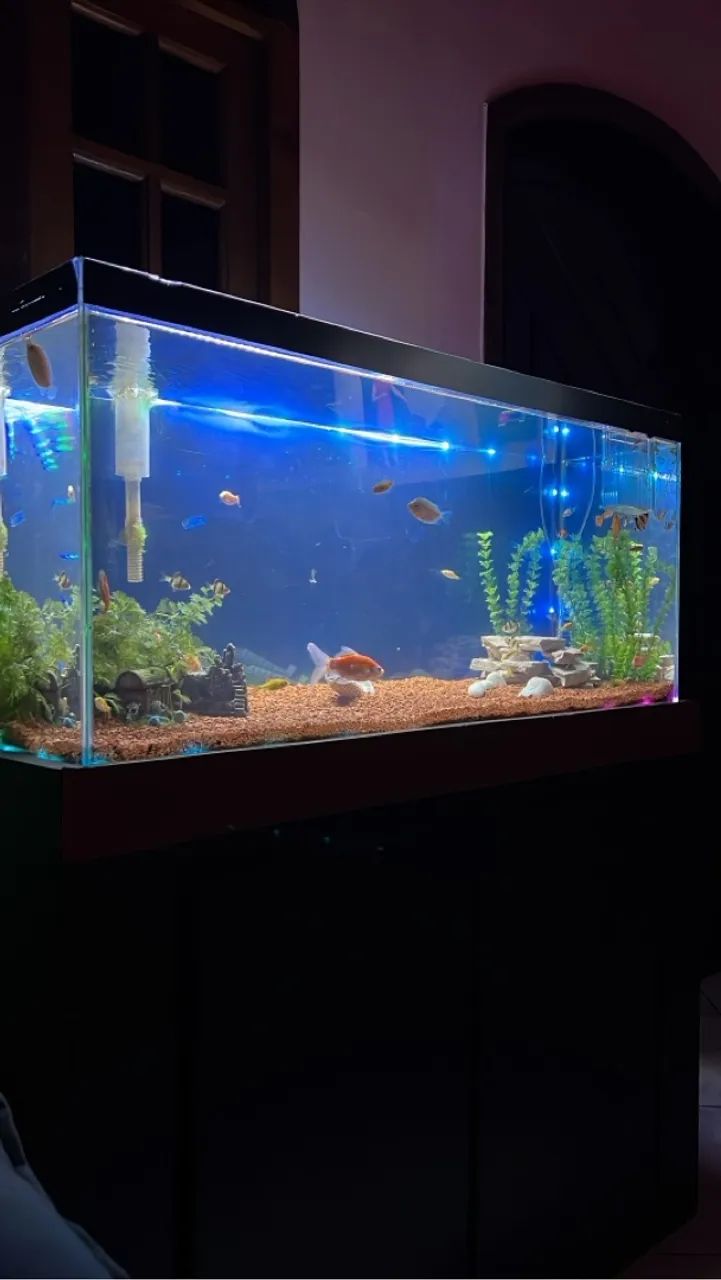 Aquário com Móvel e decoração completa. - Foto 2