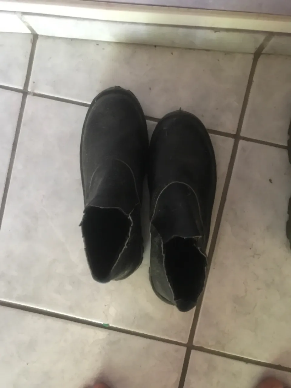 Bota