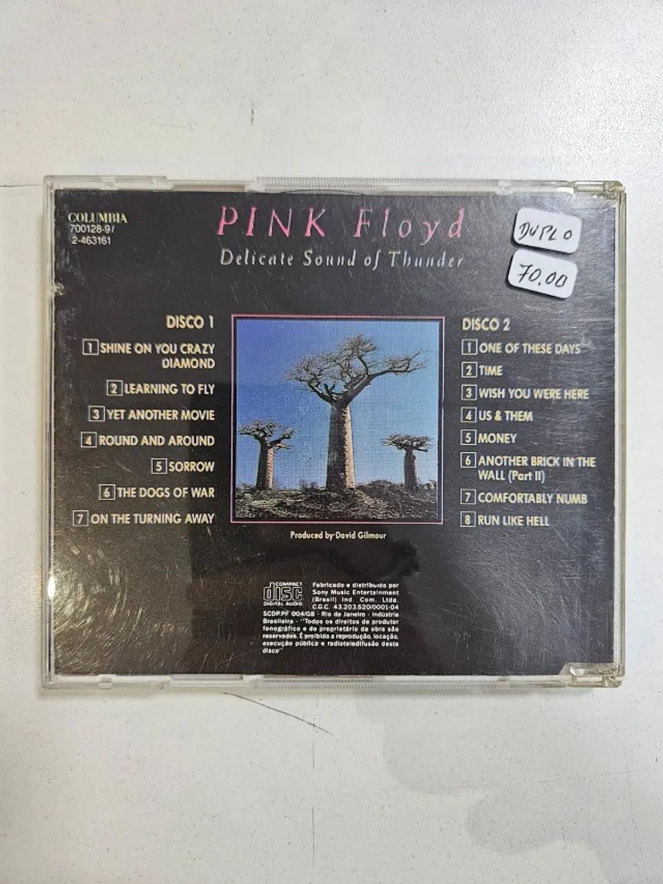 Pink Floyd - Delicate sound of thunder - Foto 2