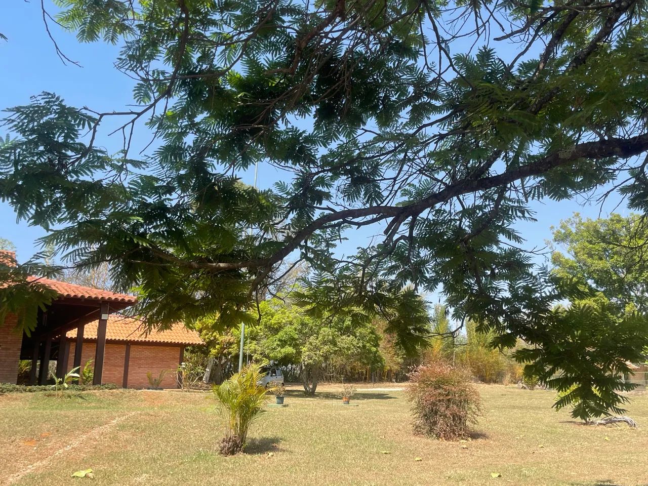 Foto - Brasília - Park Way