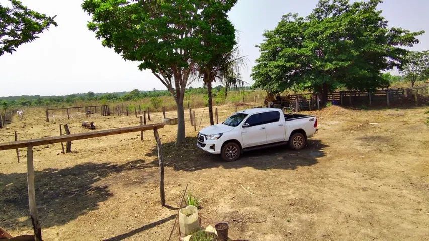 Fazenda dos sonhos 136 ha - Foto 3