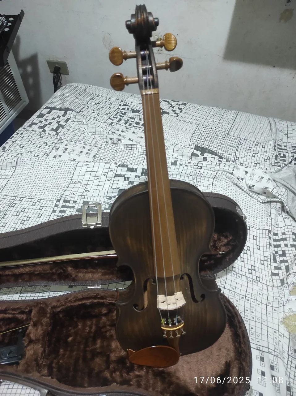 Violino profissional com estojo/Rolim
