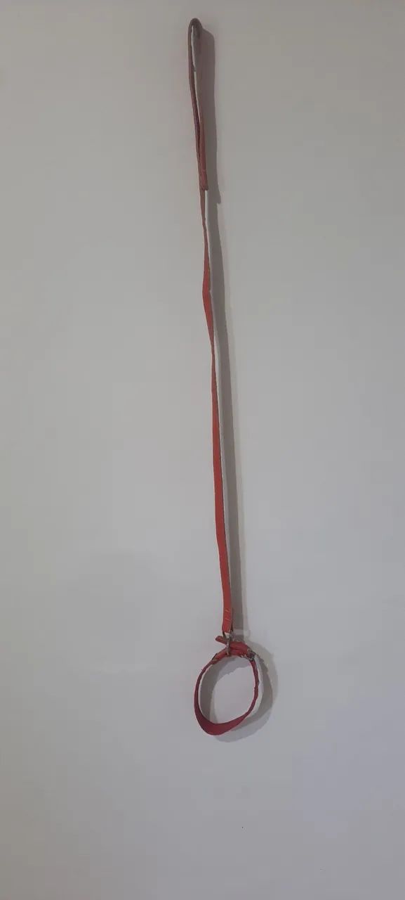 Negociável Coleira e guia nas cores vemelha