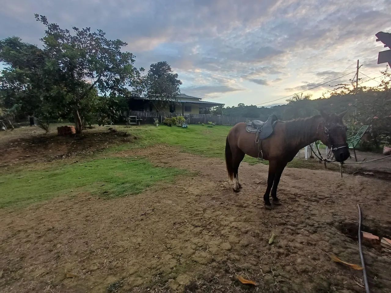 Foto - Santarém - Mararu