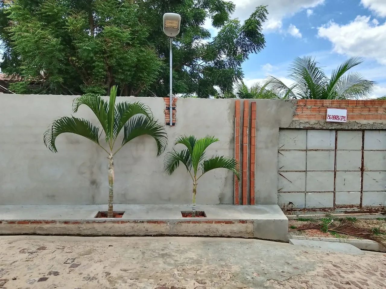 foto - Teresina - Angelim