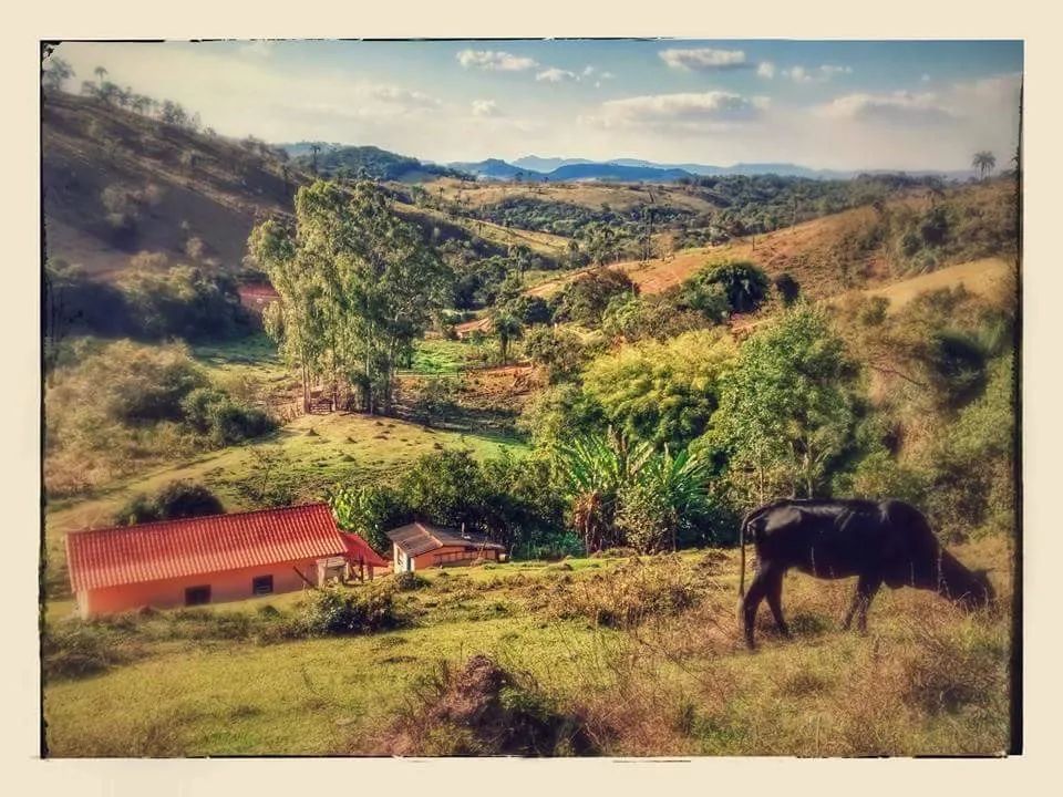 FAZENDINHA DE 2,5 HECTARES EM BONFIM/MG - Foto 5