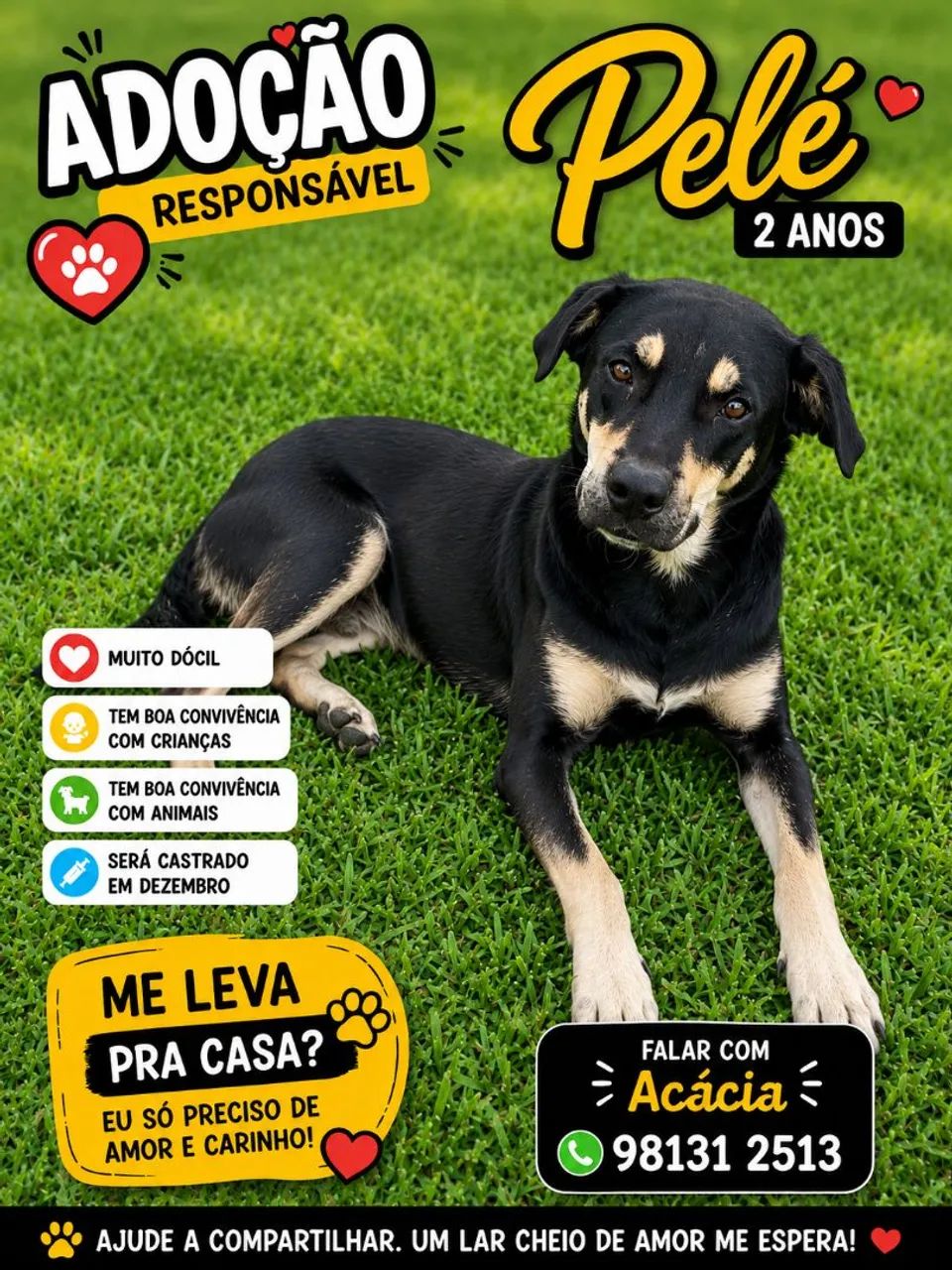 PELÉ 
