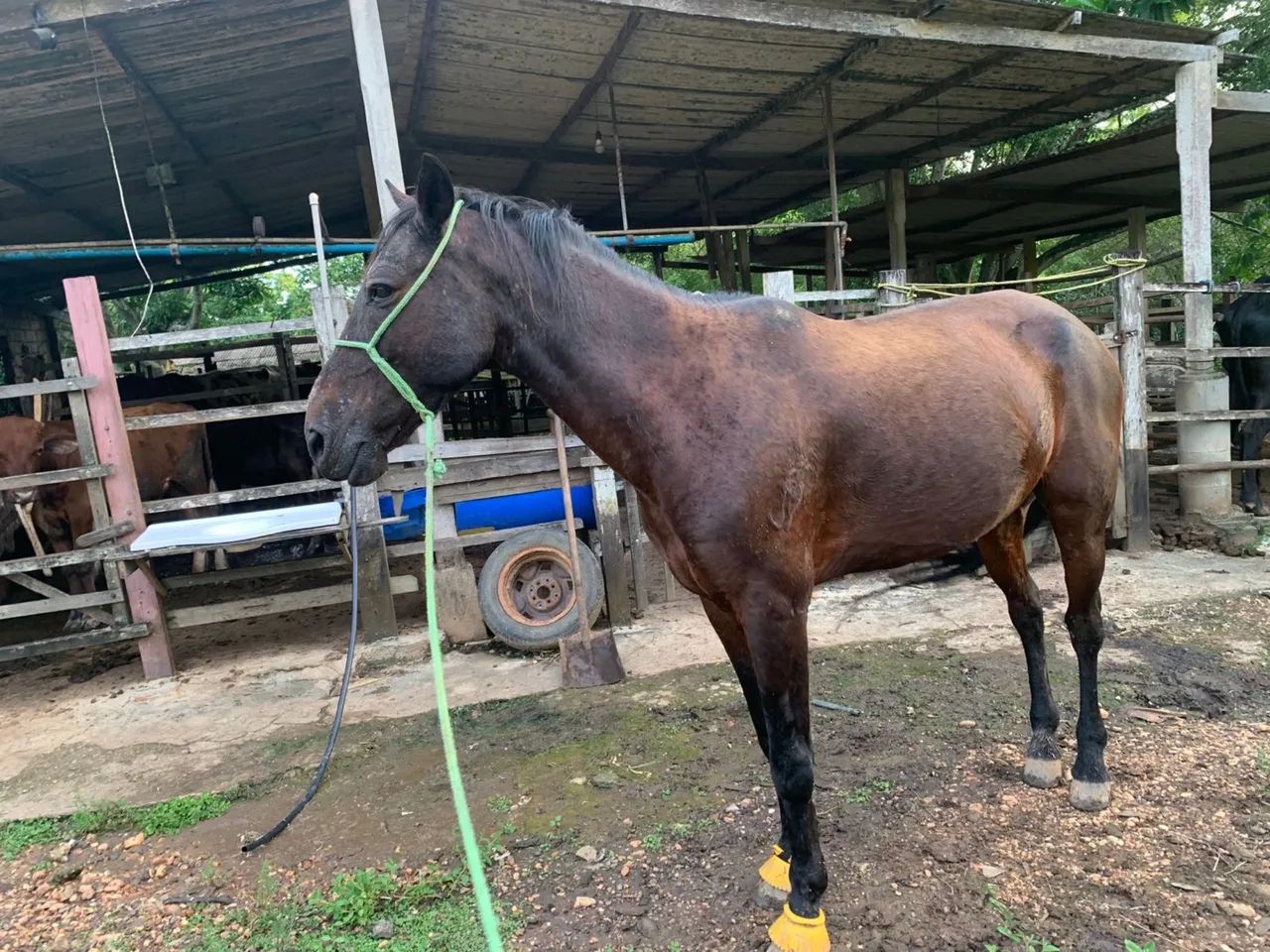 Vende-se ou troca 
