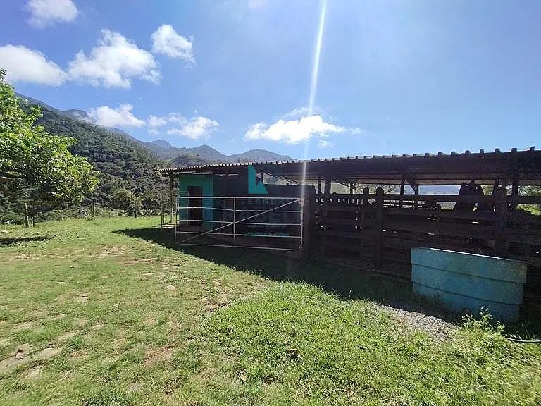 SÍTIO FORMADO COM FÁCIL ACESSO E PASTO FORMADO EM PIQUETE-SP - Foto 4
