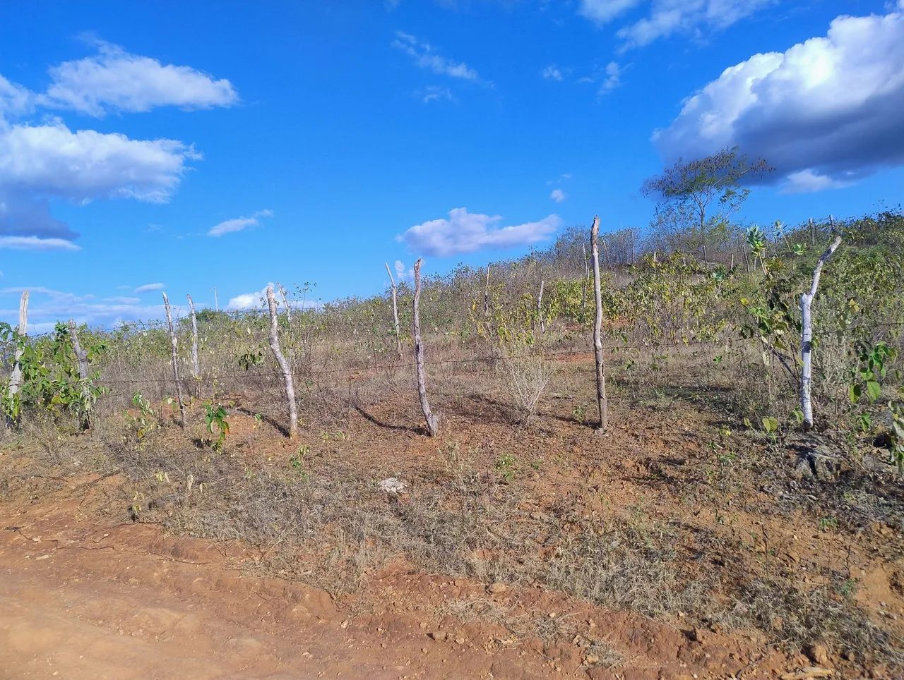 Venda  - Foto 3