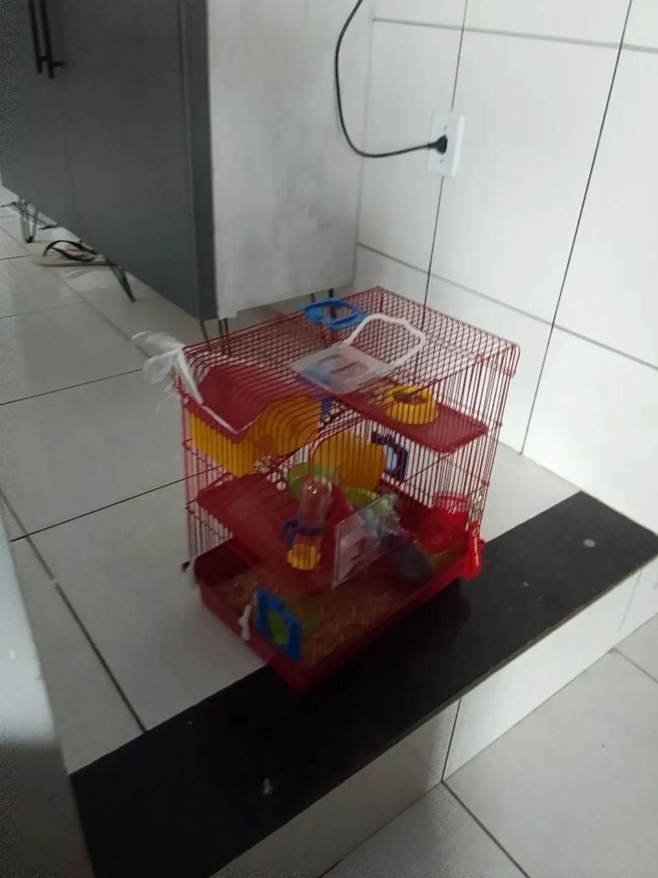 Gaiola de ramister  - Foto 2