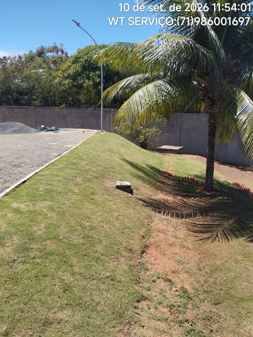 Wt serviços jardinagem é roçagem 