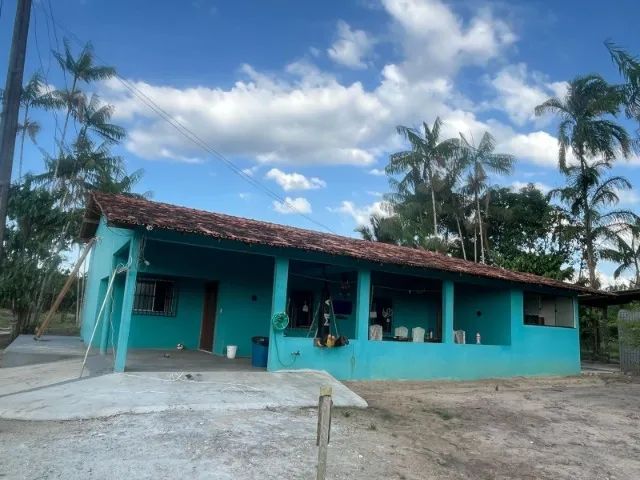 Lindo açaizal em Castanhal - Foto 3