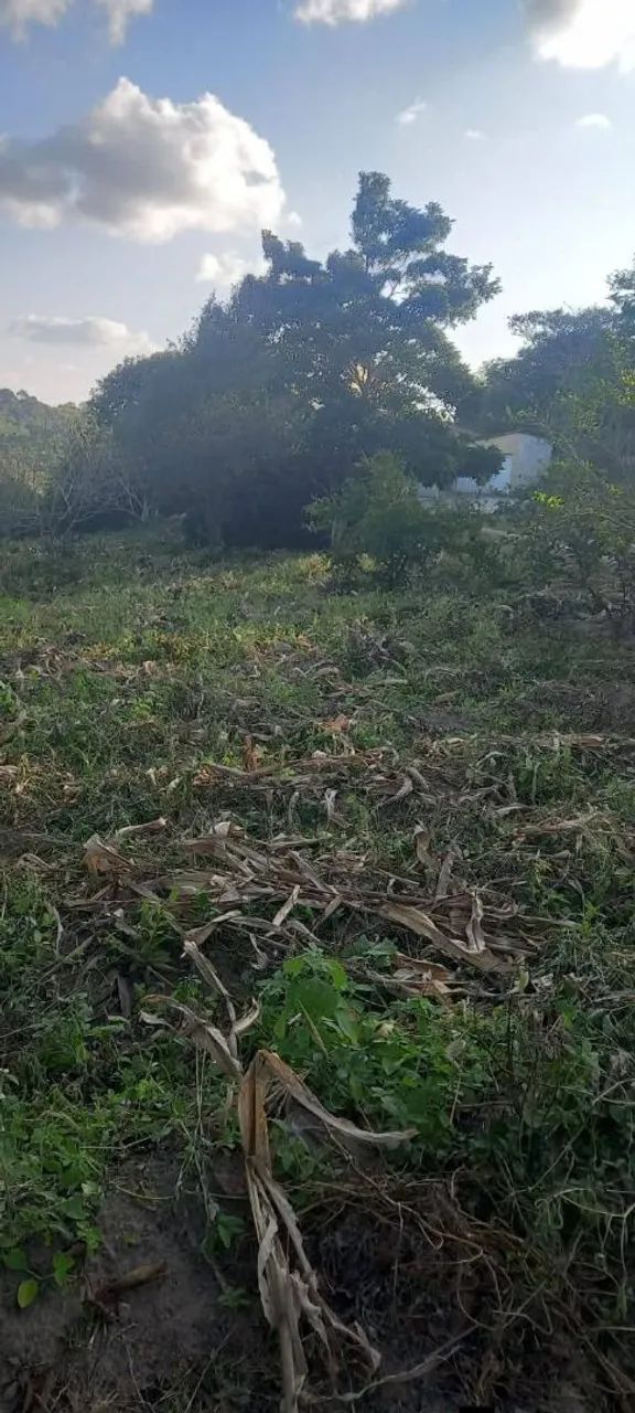 Linda chácara  - Foto 5