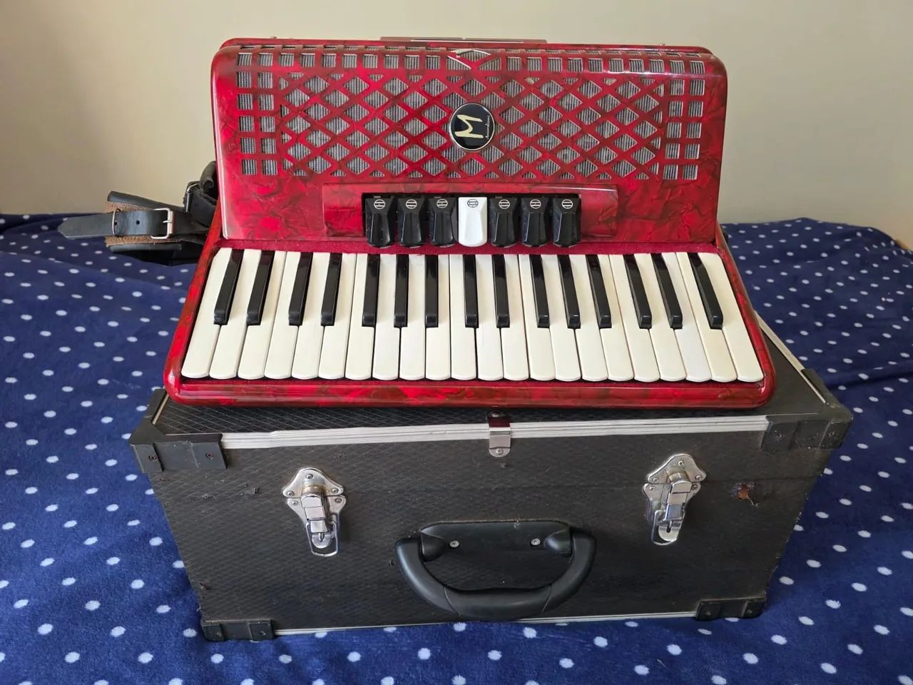 Acordeon 80 baixos Michael 