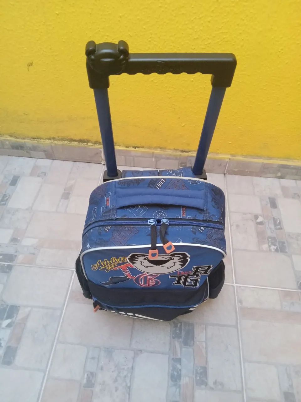 Bolsa da Tigor  - Foto 2