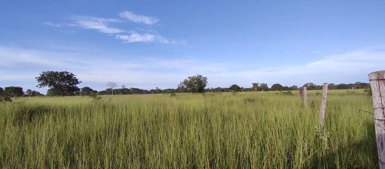 Vende se chácara Divinópolis to - Foto 2