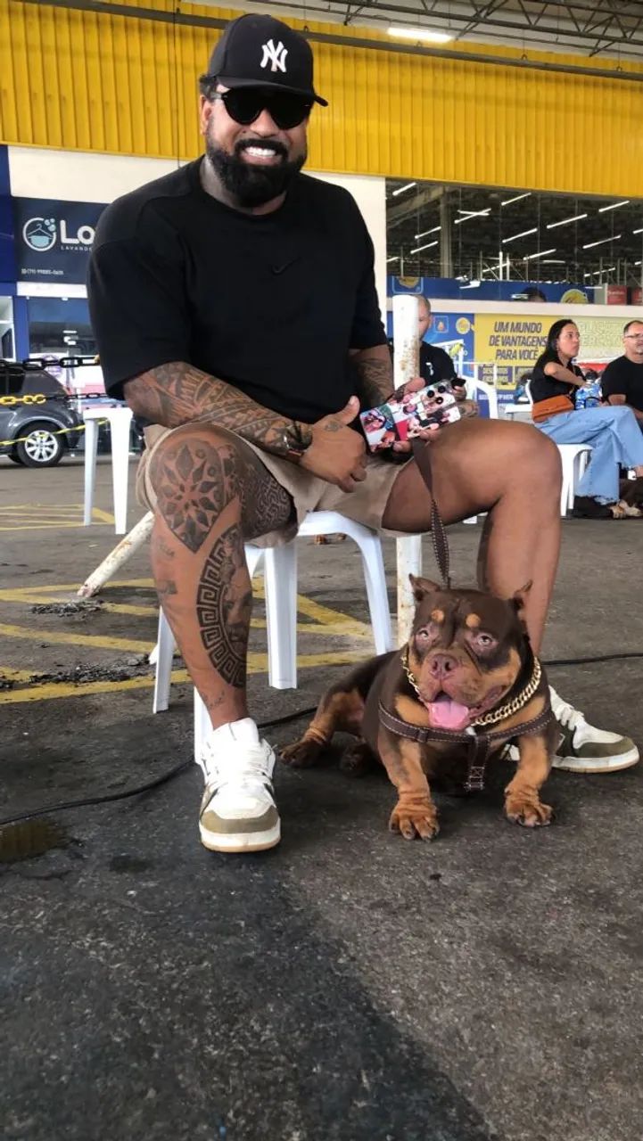 Casal nano Bully  - Foto 4
