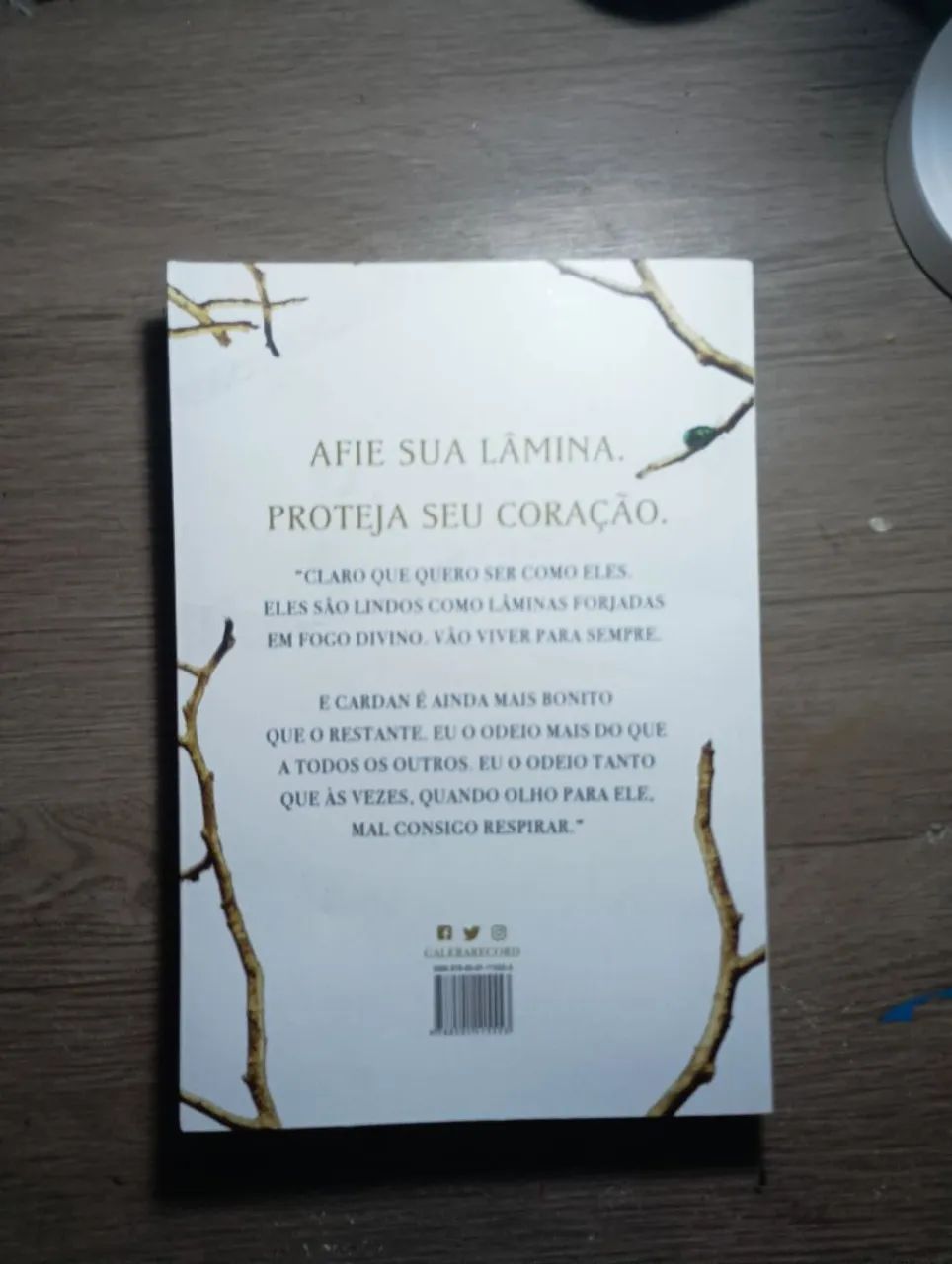Livro príncipe cruel 1 - Foto 2