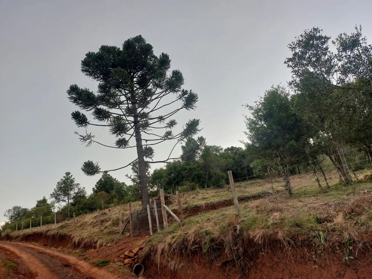 Foto - São José - Nossa Senhora do Rosário