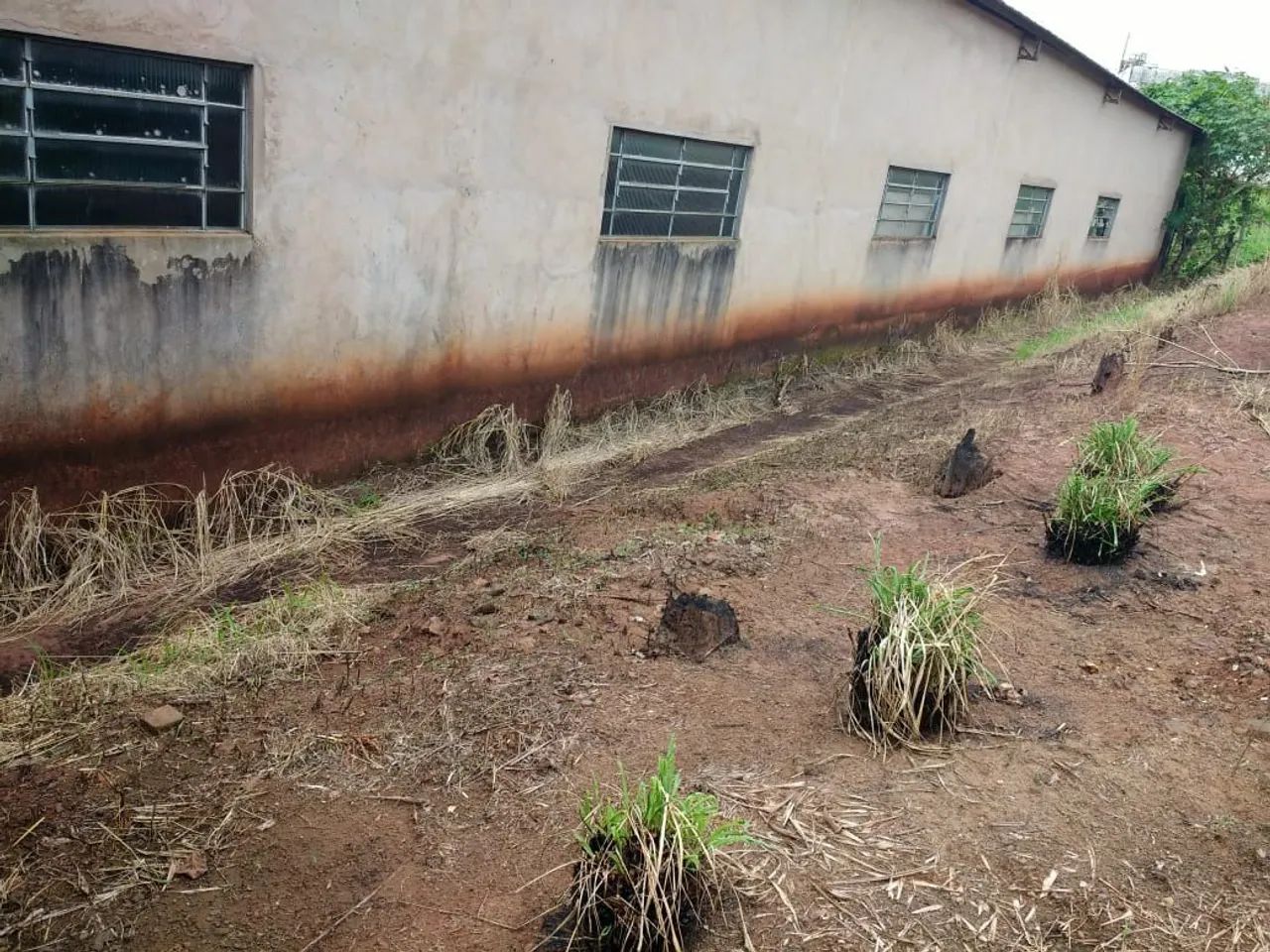 Terreno com Barracão de 450,0 M2 e Terreno com 14.700,0 M2 Vendo Alugo  - Foto 4