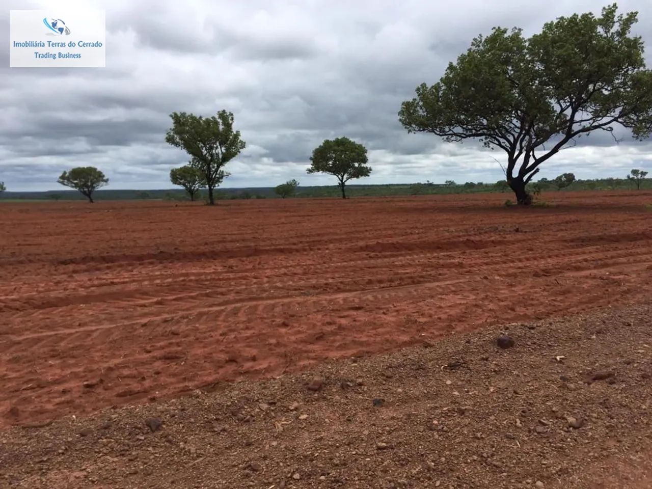 FAZENDA COM 435 HECTARES ARRENDADA PRA CANA