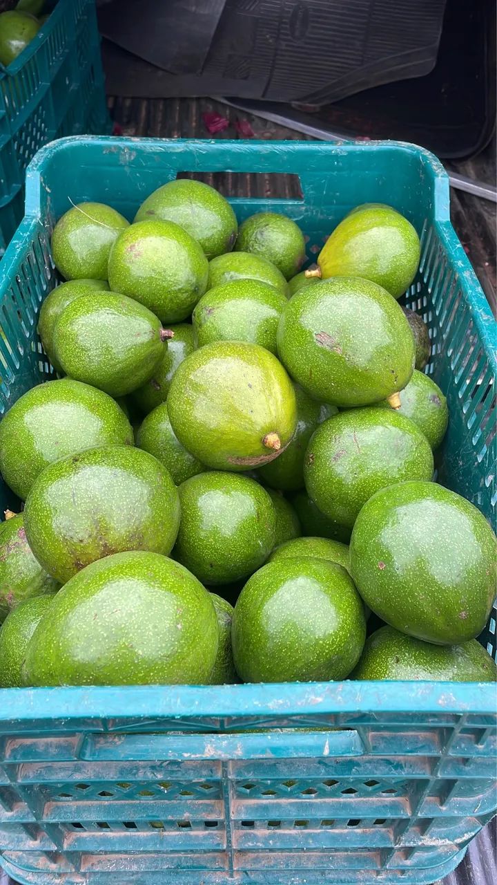 OPORTUNIDADE: Vendo Sitio escriturado perto de Bananeiras(10km) e Borborema (2k) - Foto 10
