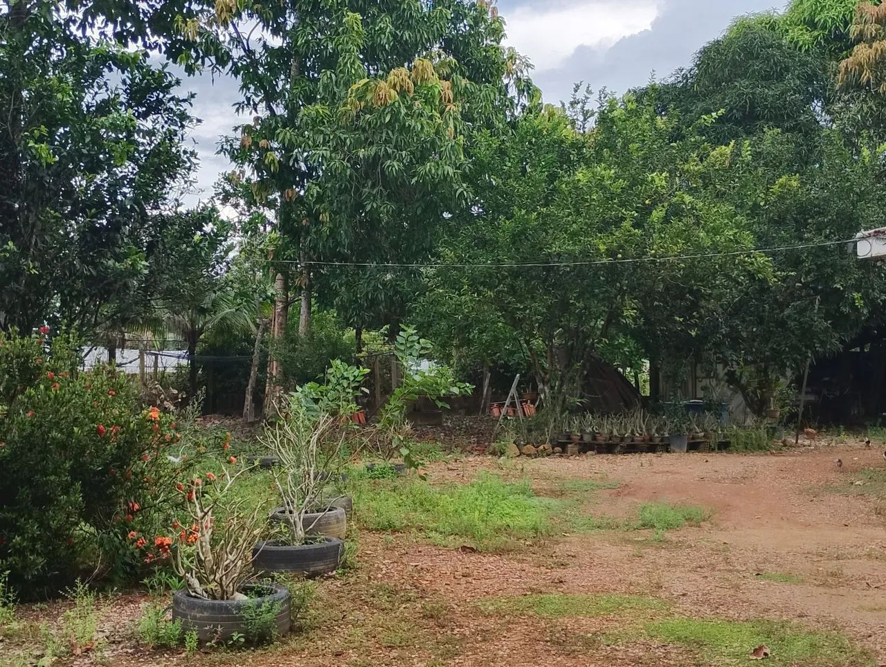 Chácara Sherman a venda - Foto 4