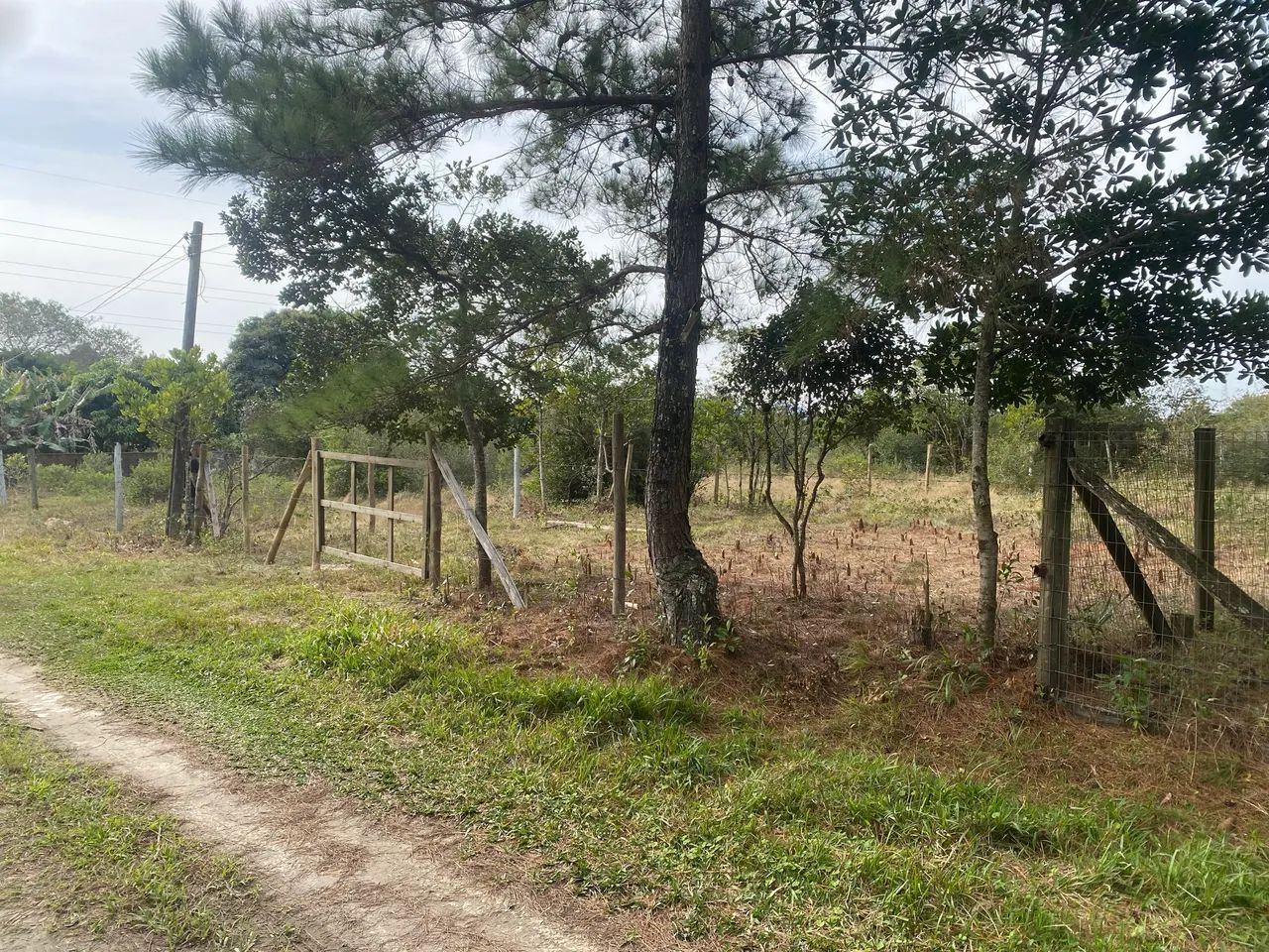 Lindo terreno na praia da pinheira  - Foto 2