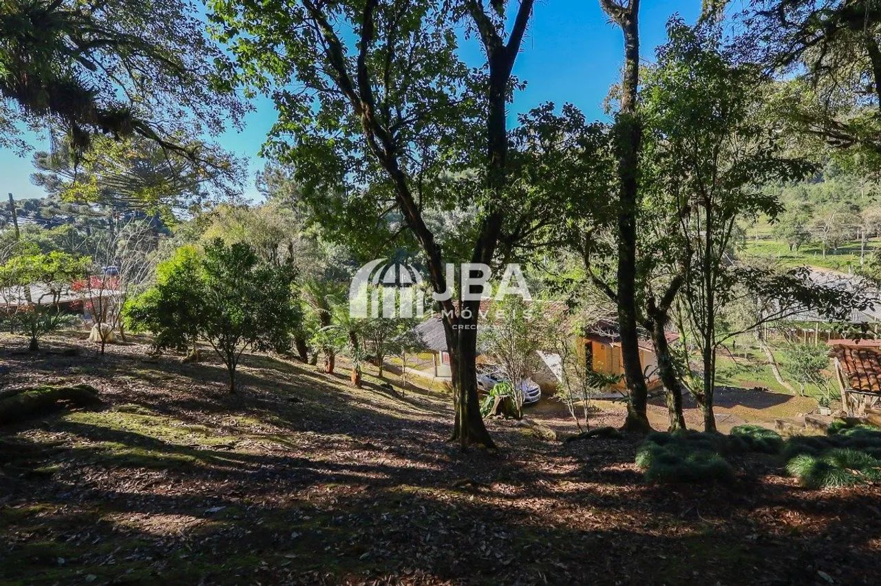 A TRANQUILIDADE DO CAMPO, PERTINHO DE CURITIBA! - Foto 2