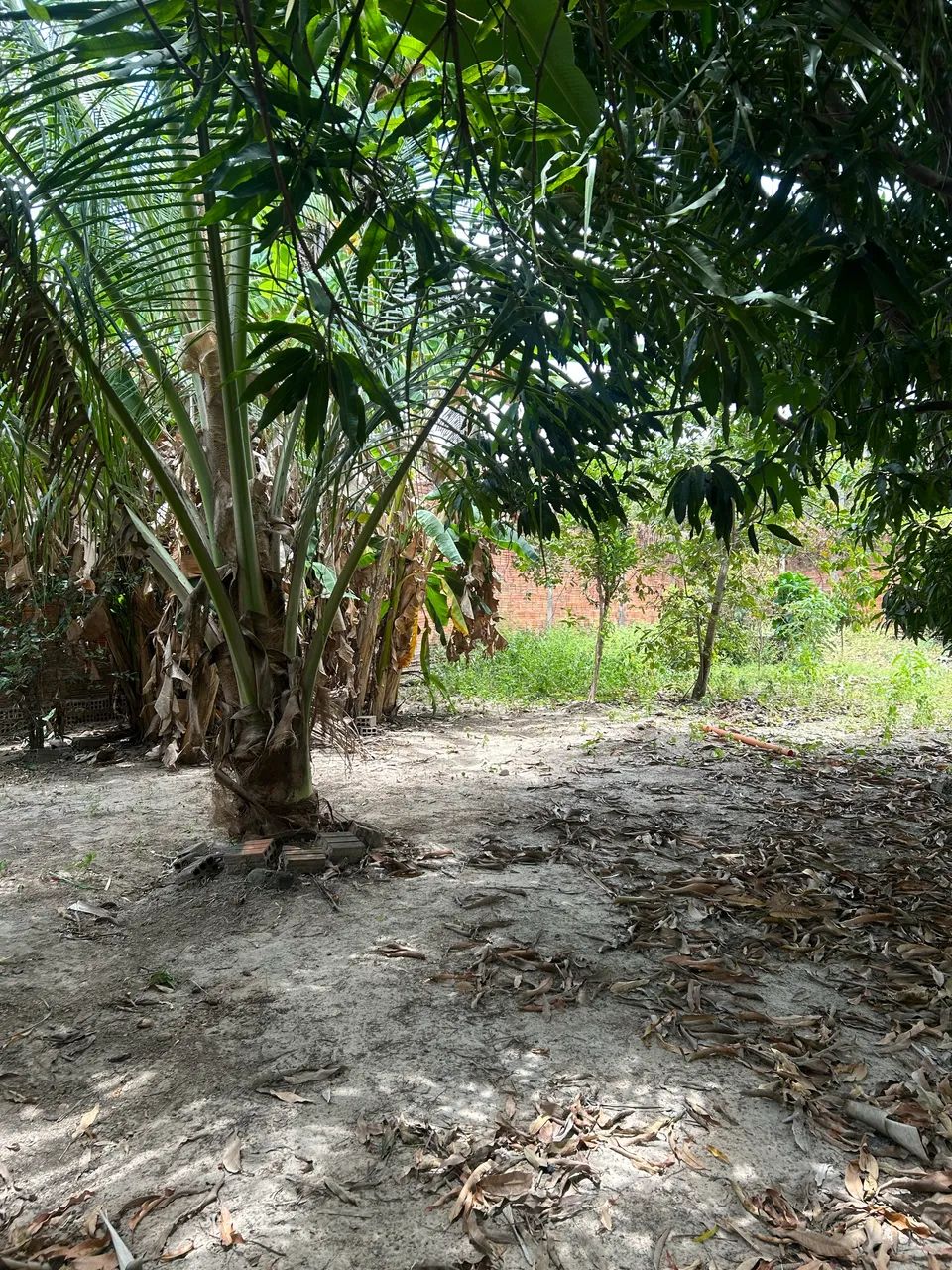 Vendo esse pequeno sítio lindo  - Foto 2