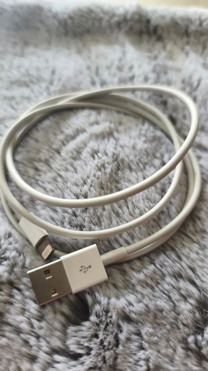 Carregador Apple 
