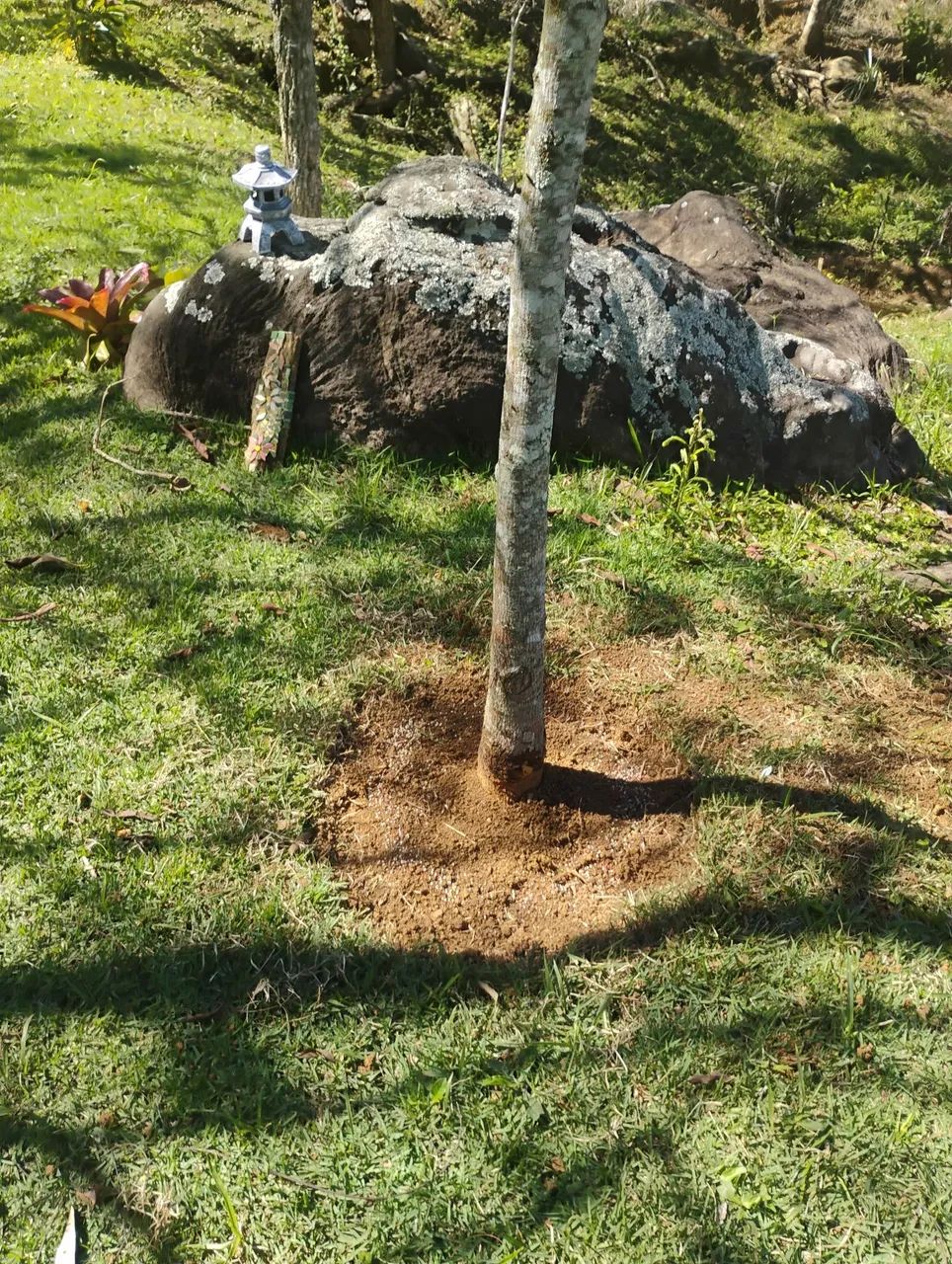 Serviços diversos  - Foto 2