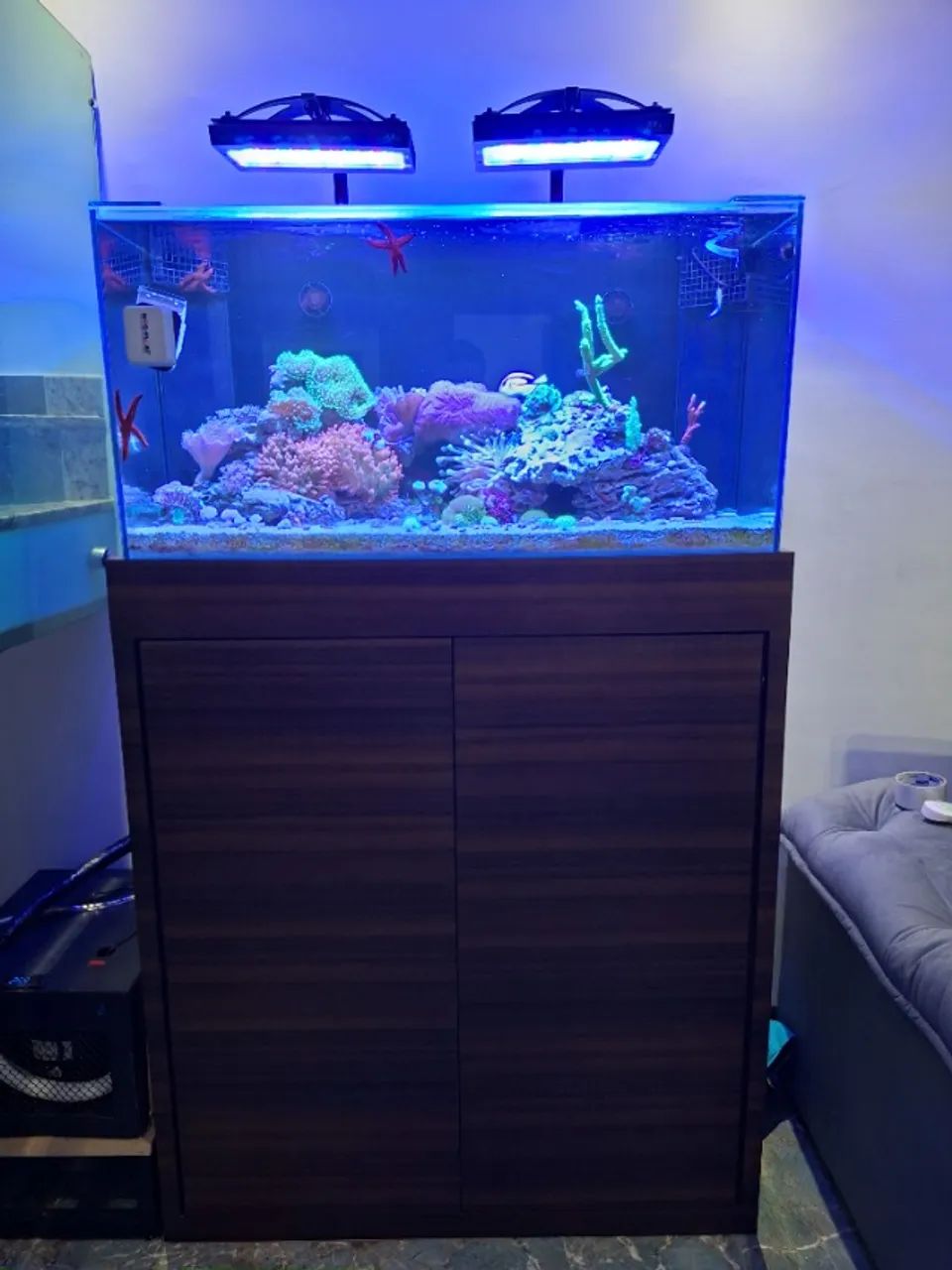 AQUARIO MARINHO 200 LITROS
