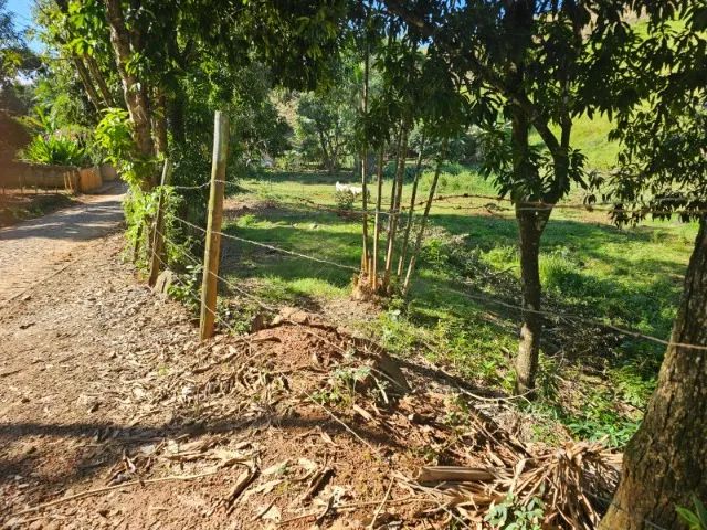 DOIS LOTES DE  450 M² CADA UM , LOCALIDADE SAMARCO * - Foto 4