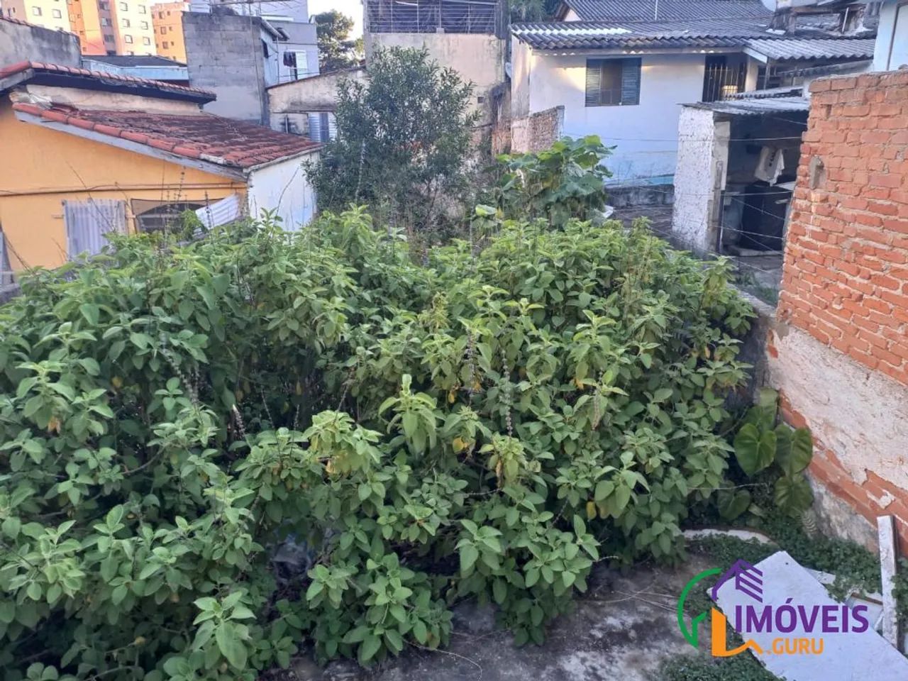 TERRENO - VILA ELDÍZIA - SP - Foto 3