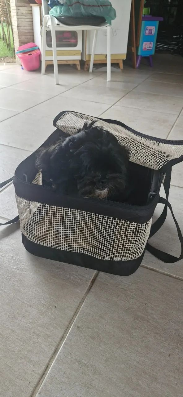 Bolsa De Transporte Sao Pet Aéreo / Terrestre Para Pets 36x33x23 - Foto 3