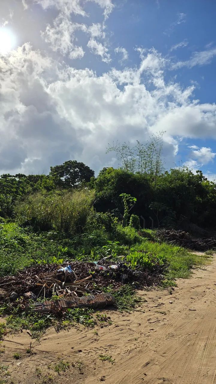 Vendo Terreno em Jacumã 1 Rua do Mar - Foto 3