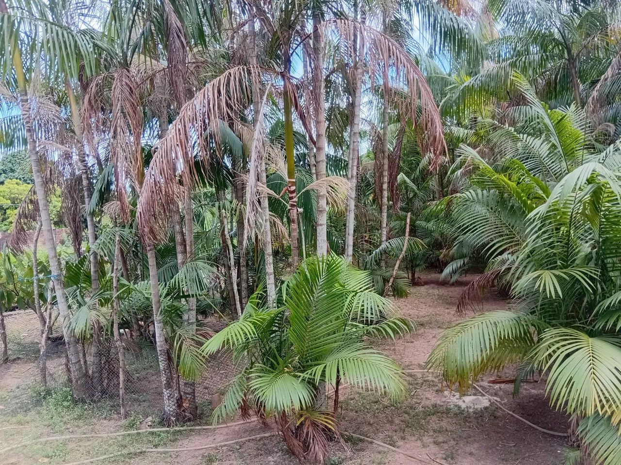 Vende casa - Foto 5