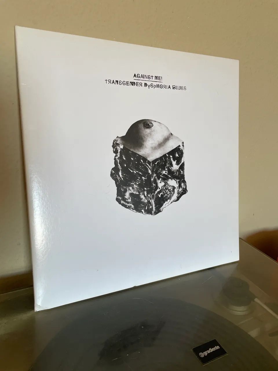 Disco Against me! - transgender dysphoria blues 