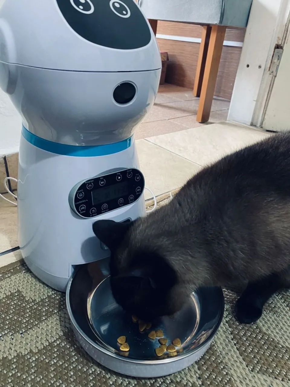Alimentador Programável inteligente 