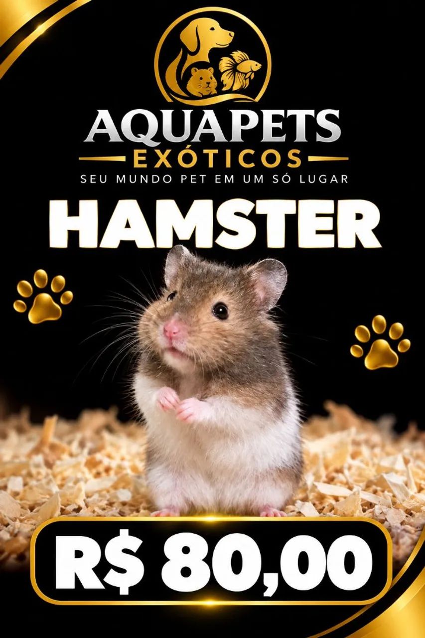 Hamster Sírios 